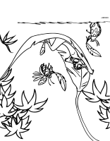 A coloring page of the little mermaid
